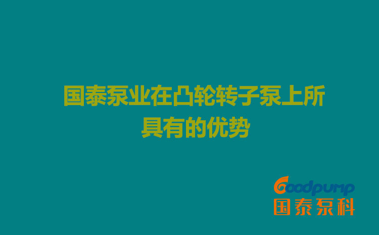 國泰泵業(yè)在凸輪轉子泵上所具有的優(yōu)勢